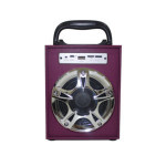 Speaker 1317 - Purple